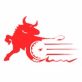 Del Toro Auto Sales - Used Car Dealers in Auburn