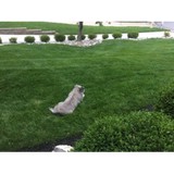 Hometown Concrete - Concrete Products & Services in Auburn