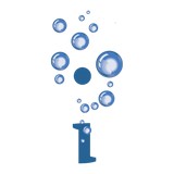 Mfizz Inc - Software Development in Seattle