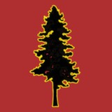 Washington Tree Experts - Tree Services in Seattle