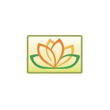 Lotus Led Lights - Other in Blaine