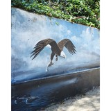 Duskin David E - Solicitors & Lawyers in Everett