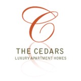 Cedars Apartments - Apartments in Seattle