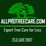 All Pro Tree Care - Tree Services in Auburn