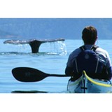 Anacortes Kayak Tours - Other in Anacortes