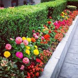 Rich Landscaping Inc - Landscape Architects in Redmond