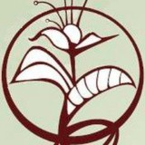 Bria Pilates Wellness Studio - Yoga in Seattle