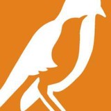 Mockingbird Society - Publishing in Seattle