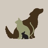 East Padden Animal Hospital - Veterinarians/Vets in Vancouver