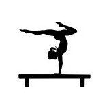 Sky Valley Gymnastics & Cheer - Gyms in Monroe