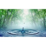Purified Water To Go - Water Delivery in Kirkland