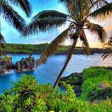 Silver Star Travel - Travel Agents in Vancouver