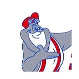 Bulldog Rooter - Plumbing in Spokane