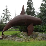 Orcas Center - Other in Eastsound