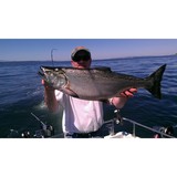 Big King Salmon Charters - Other in Mountlake Terrace