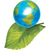 Clean Green Restoration - Cleaning Services in Lacey
