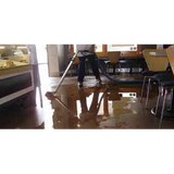Crystal Carpet Cleaning-Rstrtn - Cleaning Services in Bellevue