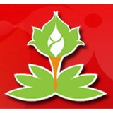 Wanta Thai Cuisine - Restaurants in Redmond