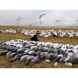 Pacific Wings Waterfowl Advent - Other in West Richland
