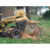 Brad's Stump and Tree Service - Landscaping in Arlington