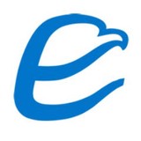Eagle Systems Inc - Other in Malaga