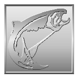 Steel Head - Manufacturer in Bellevue