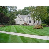 Steve's Yard Service - Landscaping in Tacoma