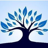 Downey Chiropractic Center - Chiropractors in Bellevue