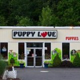 Love Puppy - Pet Services in Seattle