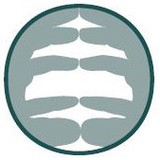 Overlake Chiropractic Clinic - Chiropractors in Bellevue