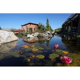 Tsillan Cellars - Other in Chelan