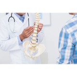 Wakeland Chiropractic Clinic - Chiropractors in Tacoma