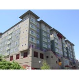 Bella on Broadway Apartments - Apartments in Tacoma