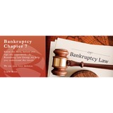 The Rosenberg Law Group, PLLC - Bankruptcy Law in Seattle