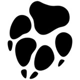 Sound Tracker - Other in Indianola