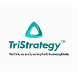 Tristrategy Inc - Other in Sammamish