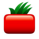 Square Tomato - Advertising in Seattle