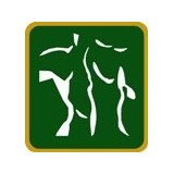 Stringer Chiropractic & Massage - Chiropractors in Everett