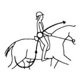 Riderpilates LLC - Fitness & Instruction in Redmond