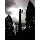 Arborscape Ltd Inc - Landscape Architects in Vancouver