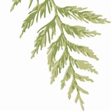 Selco Inc - Other in Everson