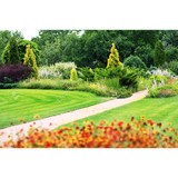 Organic Micro Cut - Other in Liberty Lake