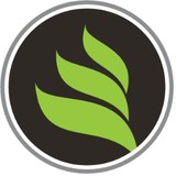 New Life Painting - Painters & Decorators in Seattle