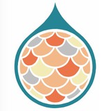 Playfish Media - Video/Film Production in Seattle