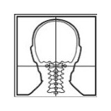 Atlas Spinal Care - Chiropractors in Vancouver