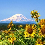 Goldendale Chamber of Commerce - Other in Goldendale