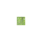 Monlin Kuo Licensed Marriage & Family Therapist - Rehabilitation Center in Seattle