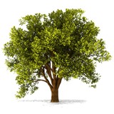 Christian Counseling - Marriage Counselling & Family Counselling in Seattle