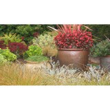 Silverleaf Landscape Inc - Landscape Architects in Seattle