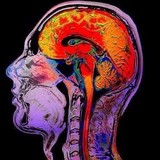 Backbone - Chiropractors in Gig Harbor